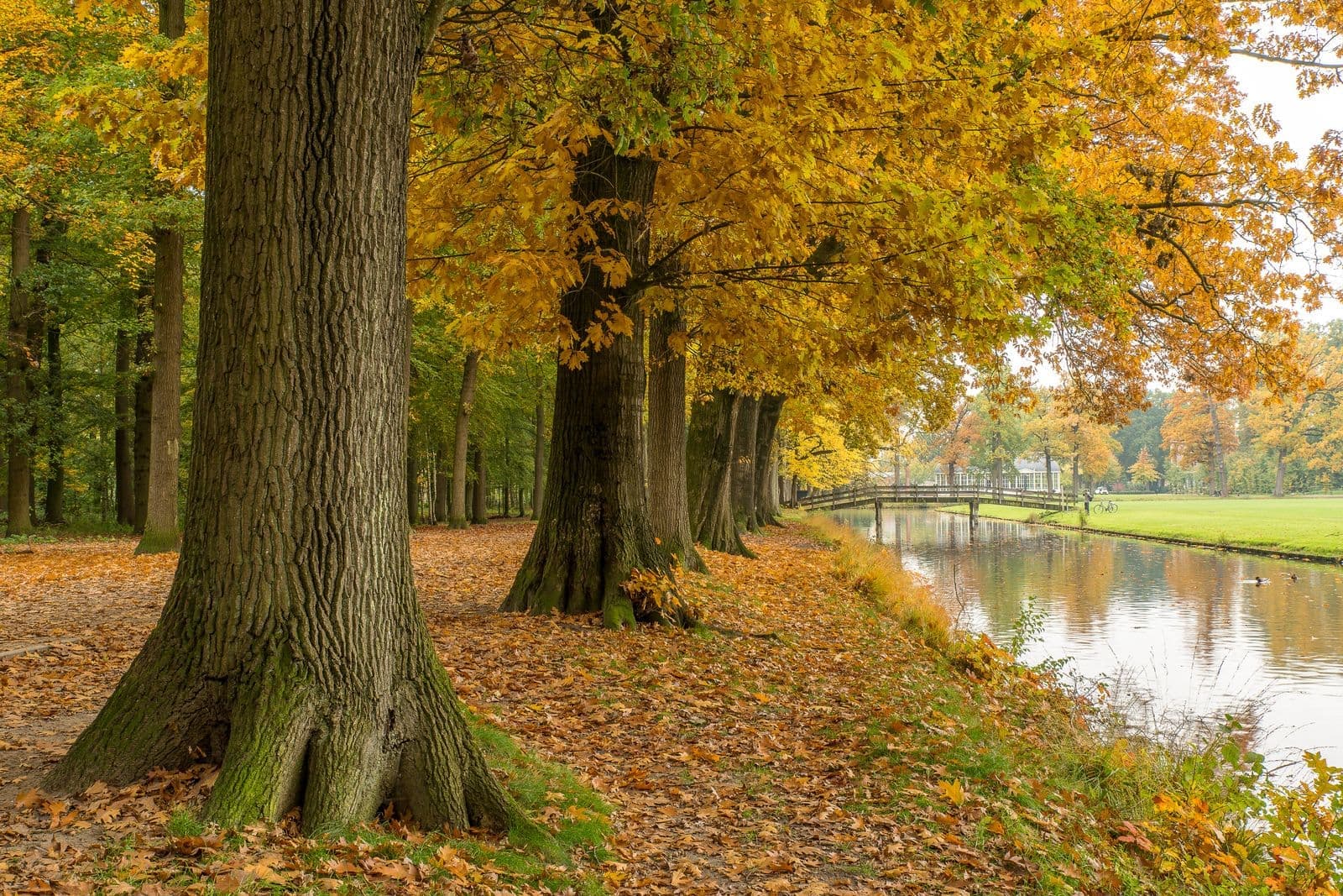 Comstock Park chimney sweep service area: a footpath beside a river under autumn trees