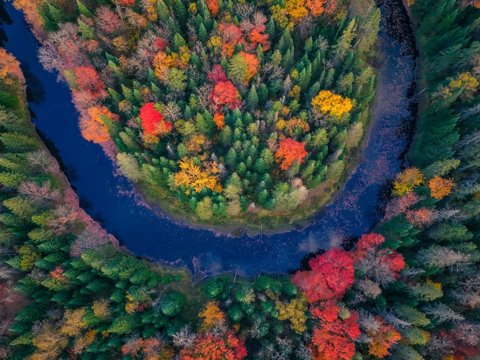 Aerial view of a river bend with autumn trees